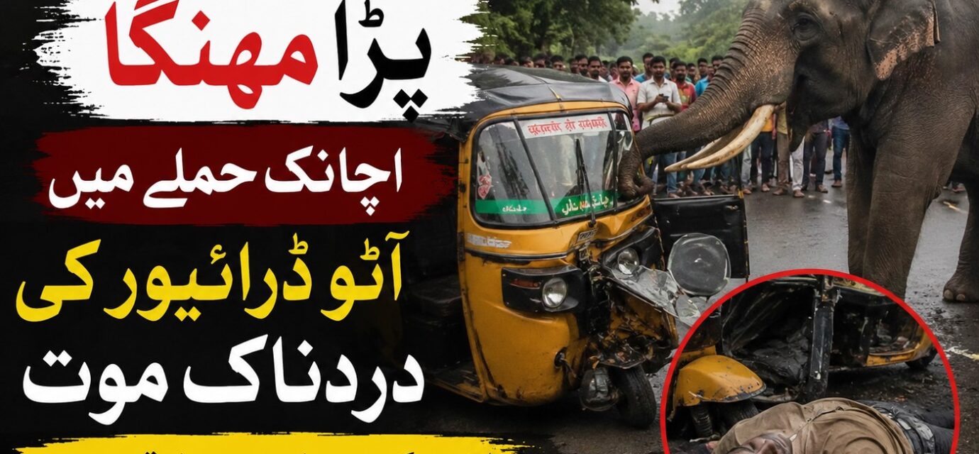 اندور میں ہاتھی کے حملے میں آٹو ڈرائیور کی ہلاکت