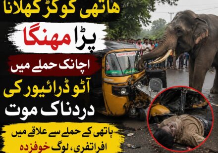 اندور میں ہاتھی کے حملے میں آٹو ڈرائیور کی ہلاکت
