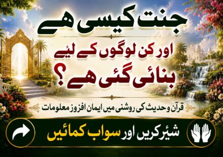 جنت کیسی ہے اور کن لوگوں کے لیے بنائی گئی ہے؟ قرآن و حدیث کی روشنی میں اسلامی معلومات
