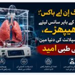 لنگ اِن اے باکس