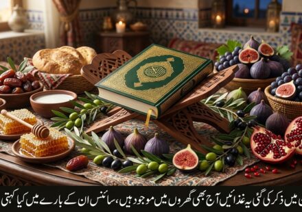 قرآن میں ذکر کی گئی غذائیں