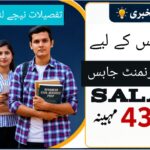 آئی بی پی ایس کلرک دو ہزار چھبیس | تلنگانہ نشستیں اور تفصیلات